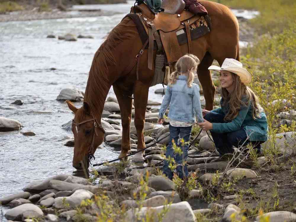 How to Watch Heartland Season 17 From Anywhere For Free