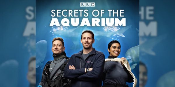 How to Watch Secrets of the Aquarium in the US