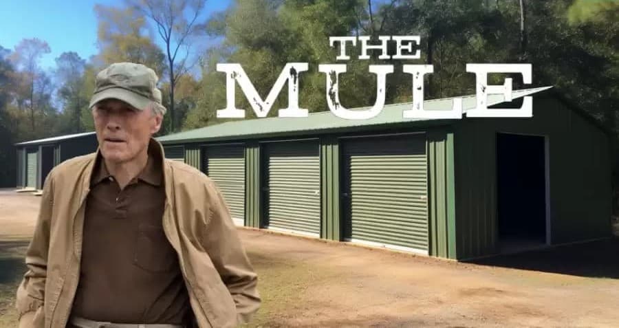 How to Watch The Mule on Netflix